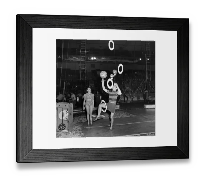 Framed Print : Ringling Bros. and Barnum & Bailey Circus Framed Print : Ringling Bros. and Barnum & Bailey Circus