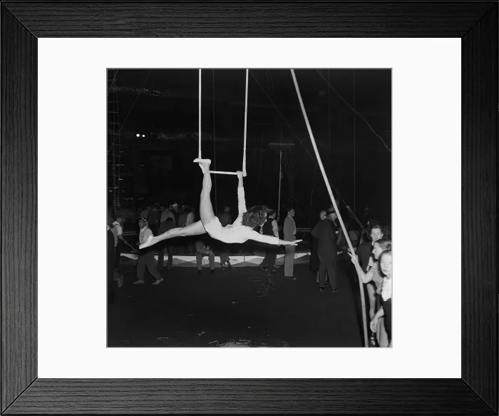Framed Print : Ringling Bros. and Barnum & Bailey Circus Framed Print : Ringling Bros. and Barnum & Bailey Circus