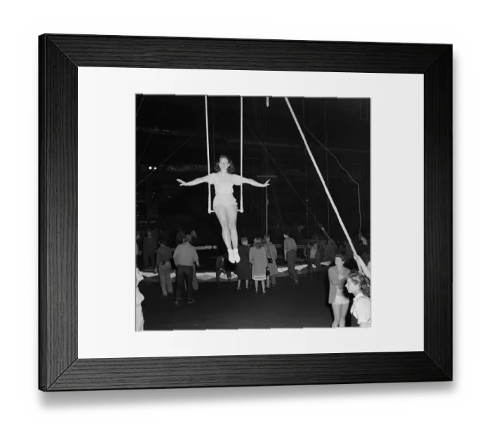 Framed Print : Ringling Bros. and Barnum & Bailey Circus Framed Print : Ringling Bros. and Barnum & Bailey Circus
