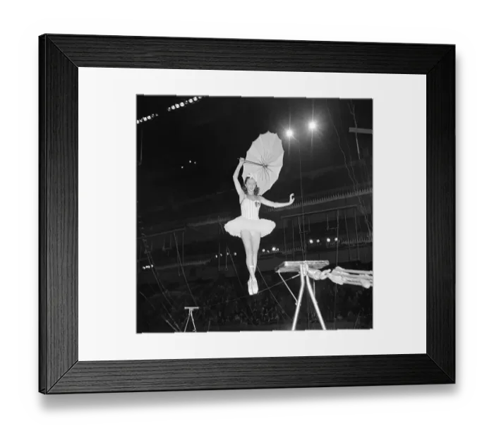 Framed Print : Ringling Bros. and Barnum & Bailey Circus Framed Print : Ringling Bros. and Barnum & Bailey Circus