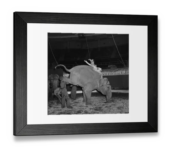 Framed Print : Ringling Bros. and Barnum & Bailey Circus Framed Print : Ringling Bros. and Barnum & Bailey Circus