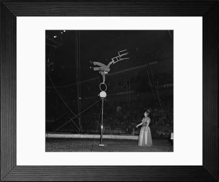 Framed Print : Ringling Bros. and Barnum & Bailey Circus Framed Print : Ringling Bros. and Barnum & Bailey Circus