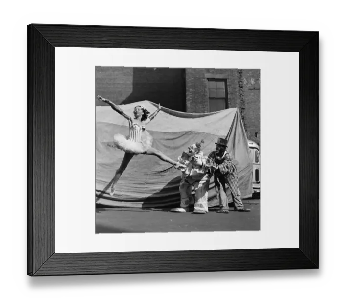 Framed Print : Ringling Bros. and Barnum & Bailey Circus Framed Print : Ringling Bros. and Barnum & Bailey Circus
