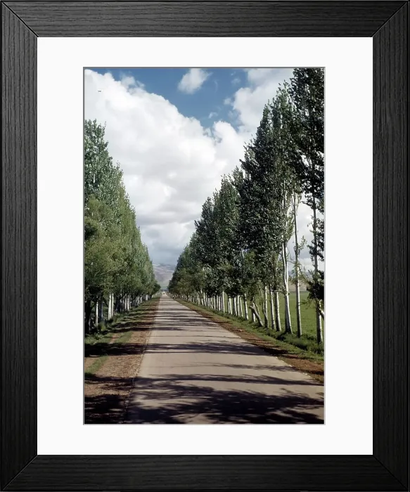 Framed Print : ROAD IN BEIRUT Framed Print : ROAD IN BEIRUT