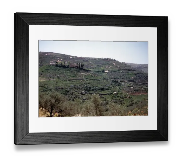 Framed Print : BEQAA VALLEY LEBANON Framed Print : BEQAA VALLEY LEBANON