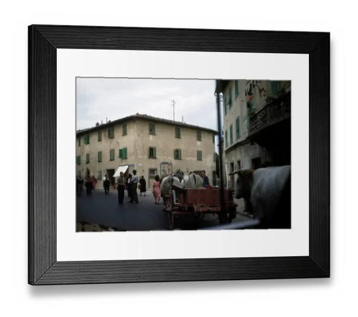 Framed Print : PISA ITALY Framed Print : PISA ITALY