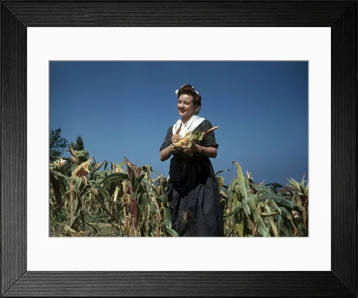 Framed Print : BASQUE COUNTY, SPAIN Framed Print : BASQUE COUNTY, SPAIN