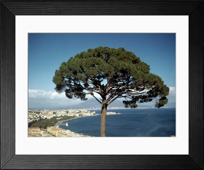 Framed Print : NAPLES ITALY Framed Print : NAPLES ITALY