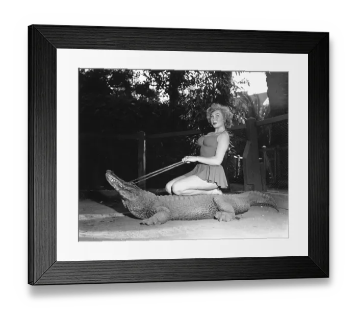 Framed Print : Los Angeles Alligator Farm Framed Print : Los Angeles Alligator Farm