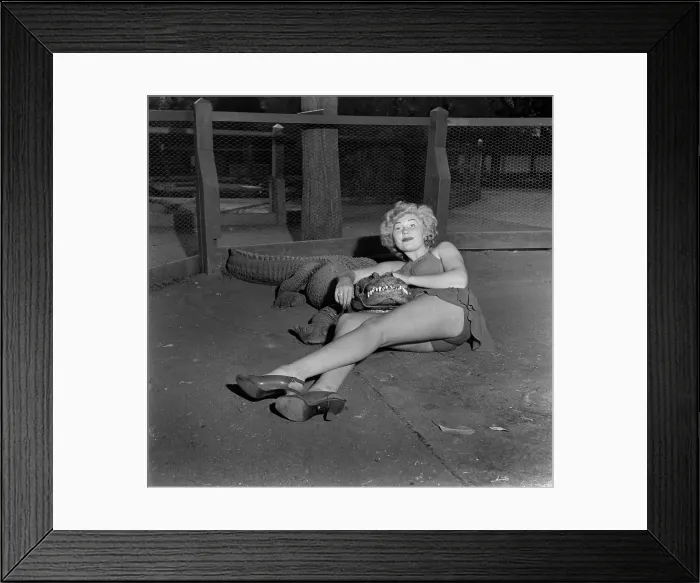 Framed Print : Los Angeles Alligator Farm Framed Print : Los Angeles Alligator Farm