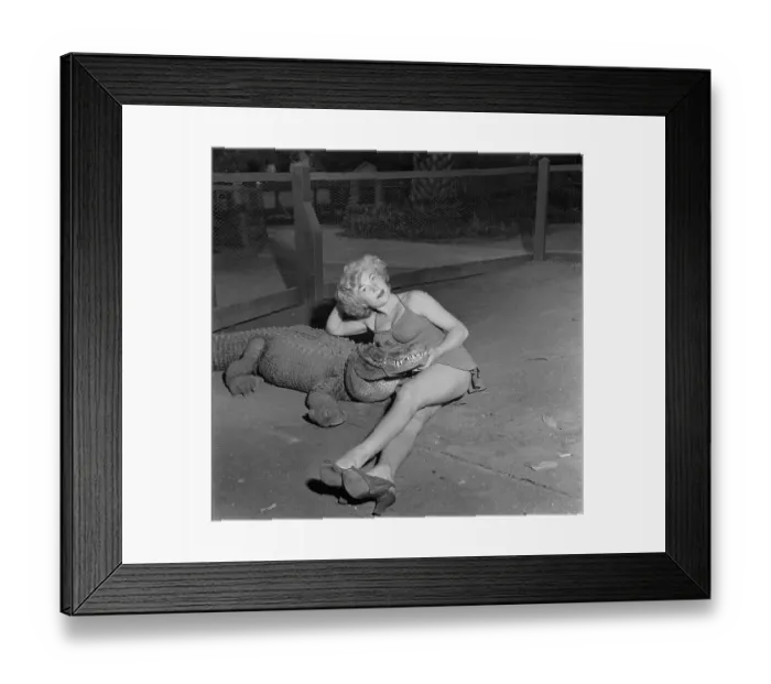 Framed Print : Los Angeles Alligator Farm Framed Print : Los Angeles Alligator Farm