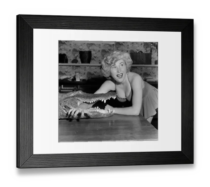 Framed Print : Los Angeles Alligator Farm Framed Print : Los Angeles Alligator Farm