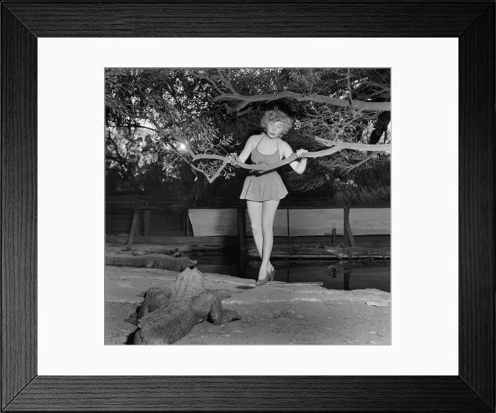 Framed Print : Los Angeles Alligator Farm Framed Print : Los Angeles Alligator Farm