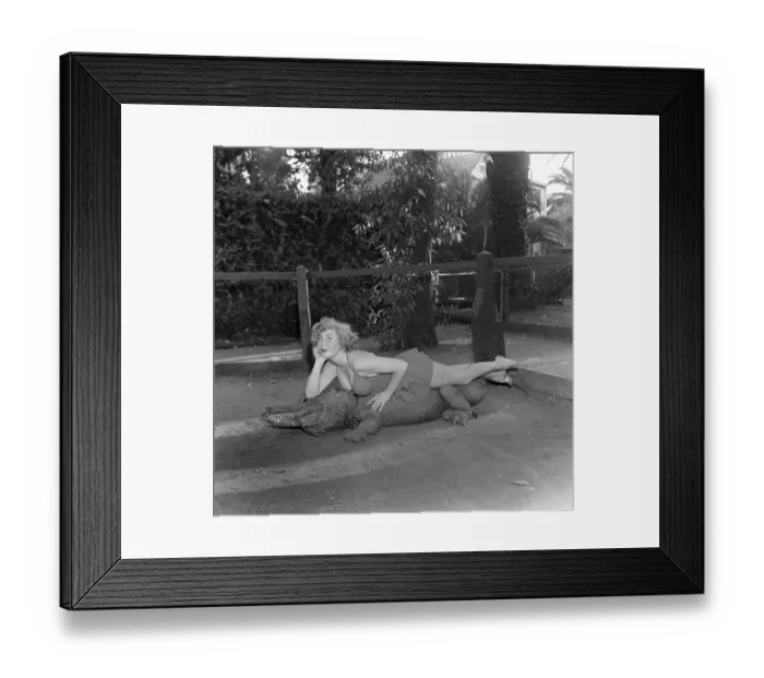 Framed Print : Los Angeles Alligator Farm Framed Print : Los Angeles Alligator Farm