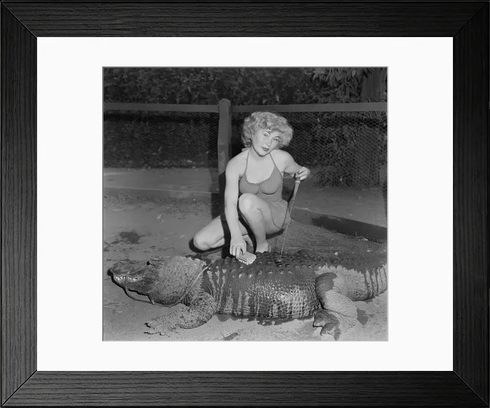 Framed Print : Los Angeles Alligator Farm Framed Print : Los Angeles Alligator Farm