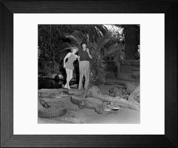 Framed Print : Los Angeles Alligator Farm Framed Print : Los Angeles Alligator Farm