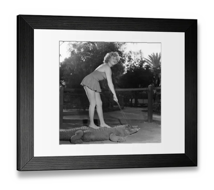 Framed Print : Los Angeles Alligator Farm Framed Print : Los Angeles Alligator Farm