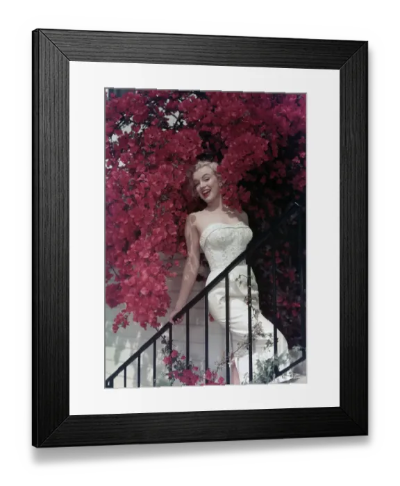 Framed Print : Marilyn Monroe Portrait Framed Print : Marilyn Monroe Portrait