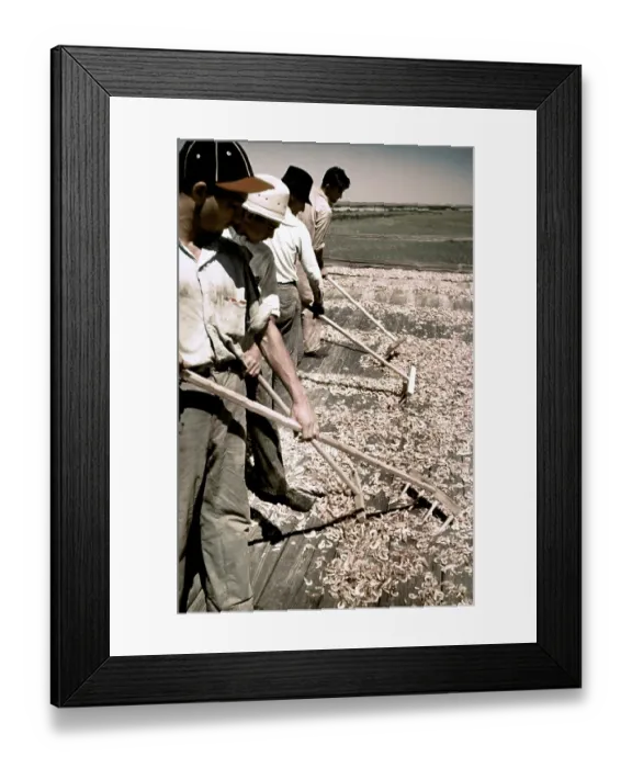 Framed Print : Life On The Bayou Framed Print : Life On The Bayou