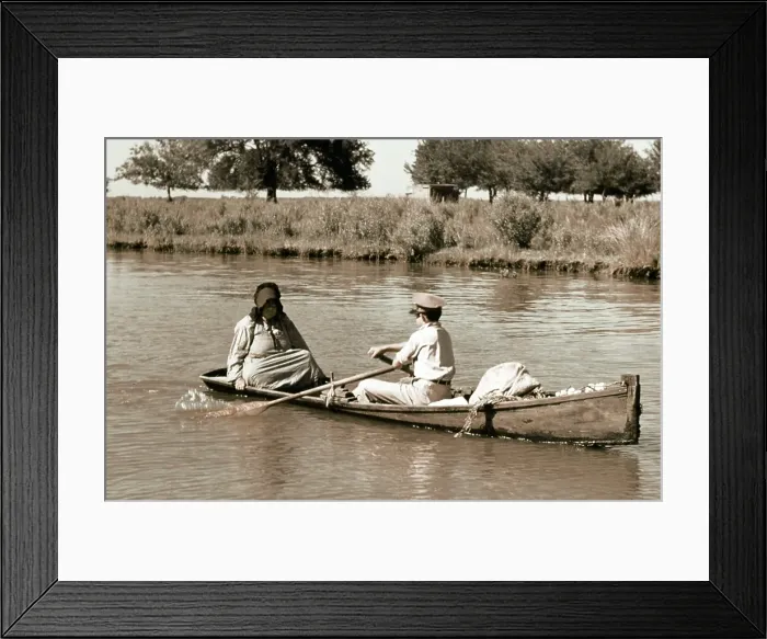 Framed Print : Life On The Bayou Framed Print : Life On The Bayou