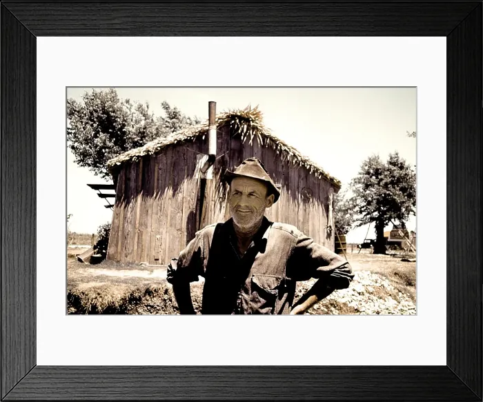 Framed Print : Life On The Bayou Framed Print : Life On The Bayou