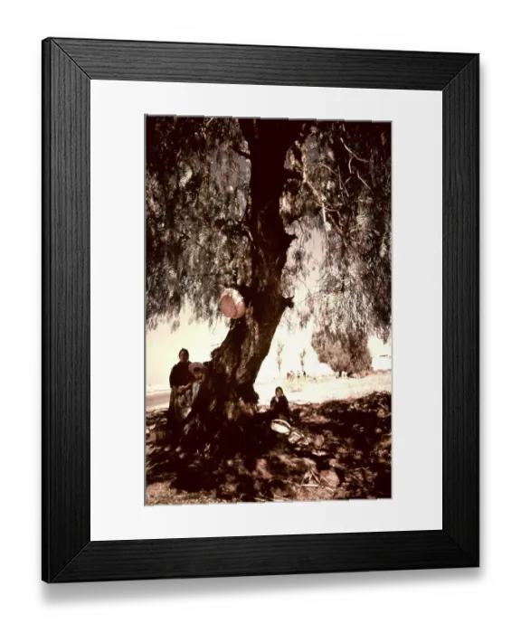 Framed Print : Life On The Bayou Framed Print : Life On The Bayou