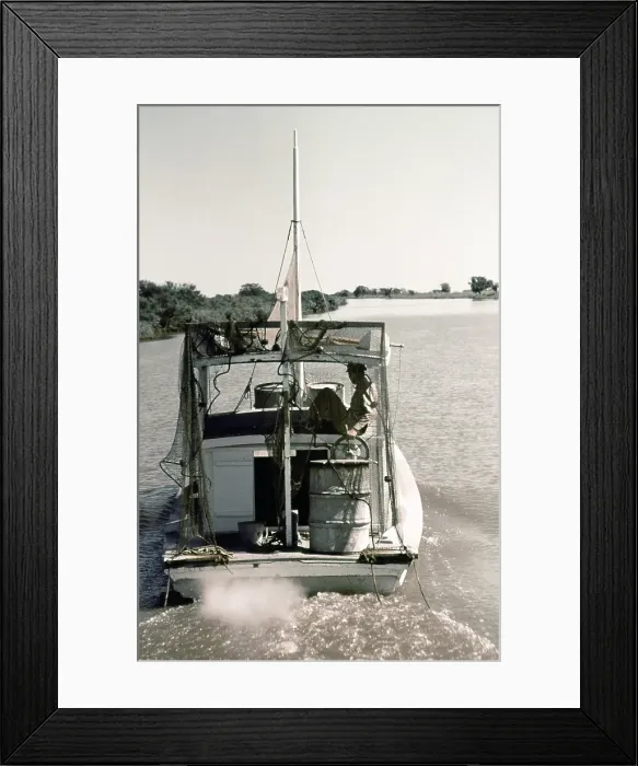 Framed Print : Life On The Bayou Framed Print : Life On The Bayou