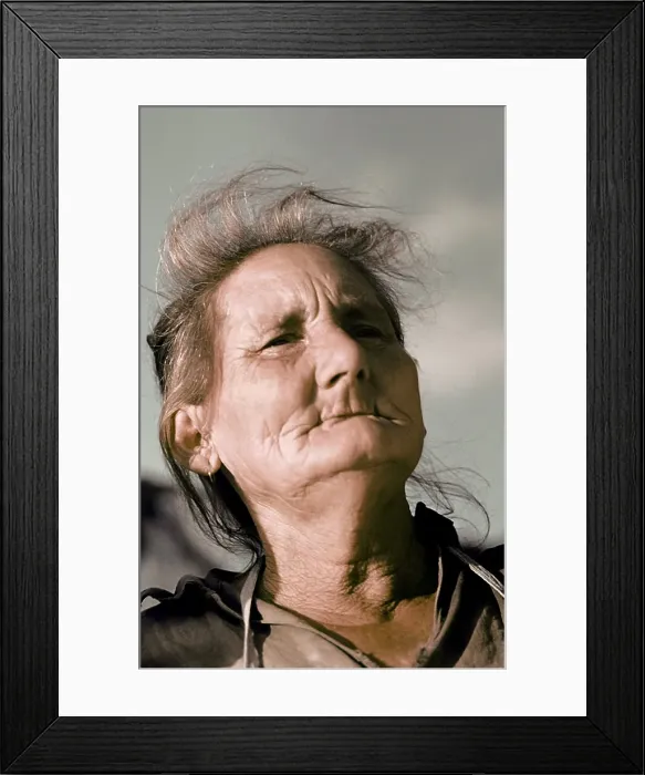 Framed Print : Life On The Bayou Framed Print : Life On The Bayou