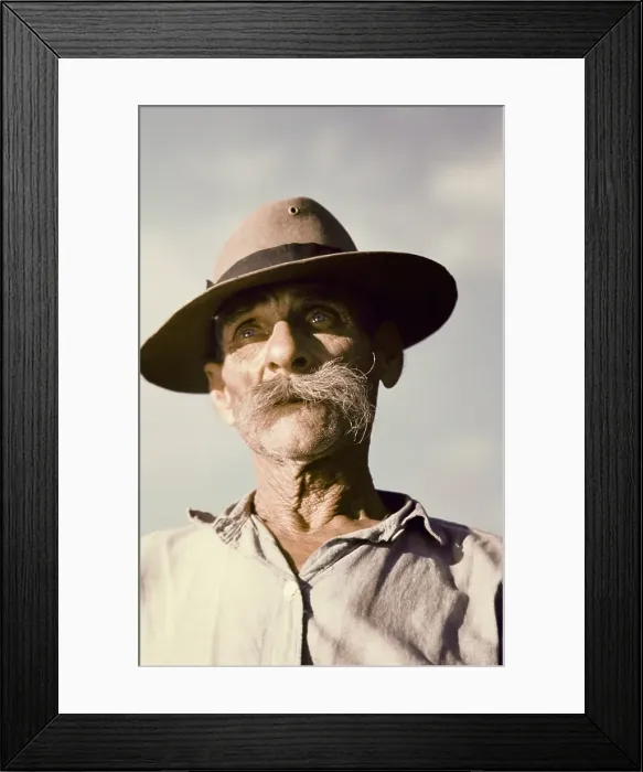 Framed Print : Life On The Bayou Framed Print : Life On The Bayou