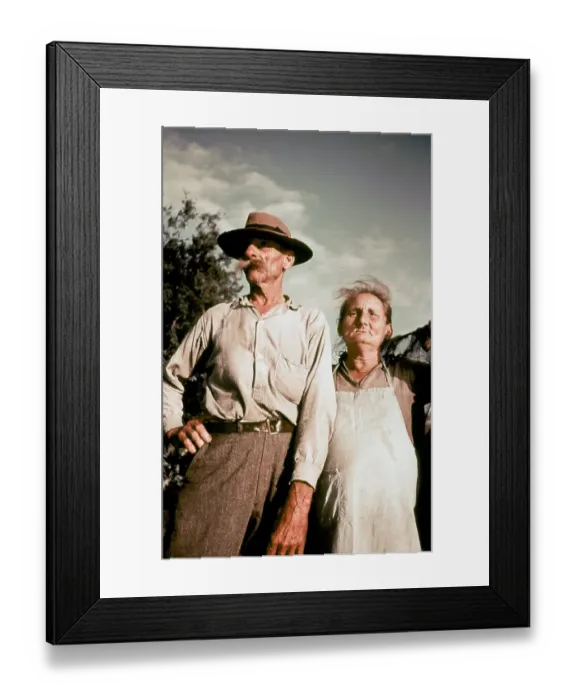 Framed Print : Life On The Bayou Framed Print : Life On The Bayou