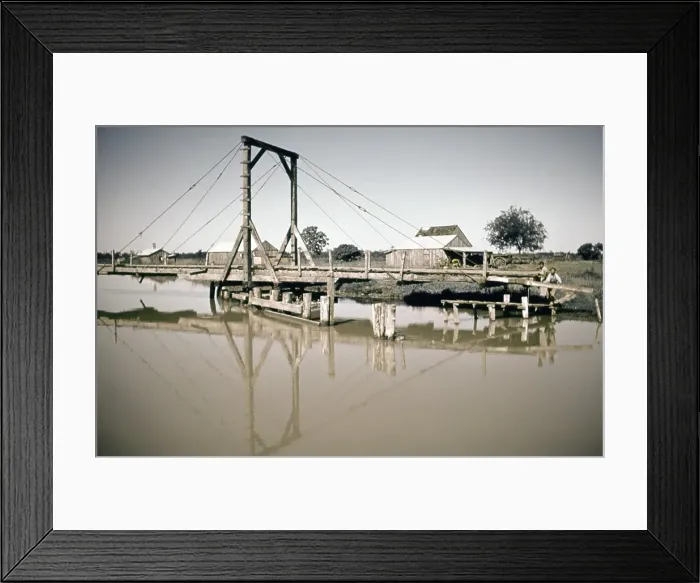 Framed Print : Life On The Bayou Framed Print : Life On The Bayou