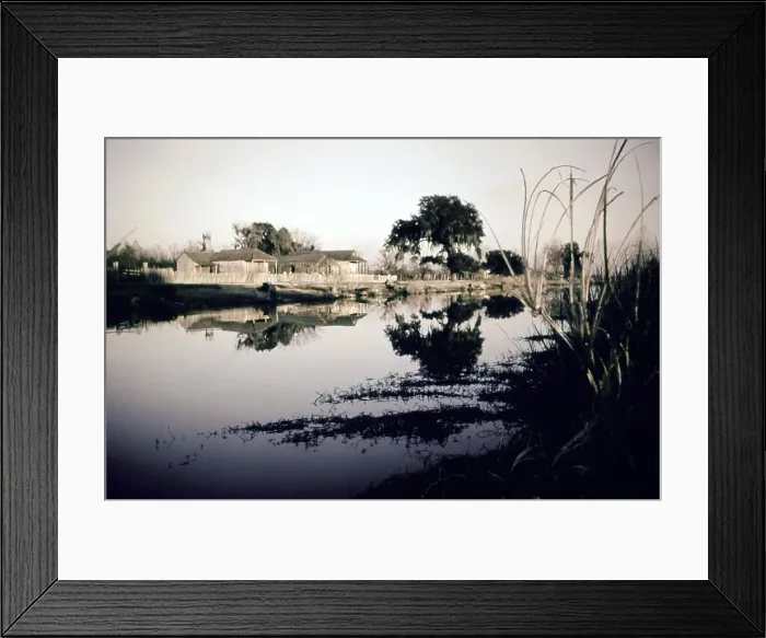 Framed Print : Life On The Bayou Framed Print : Life On The Bayou