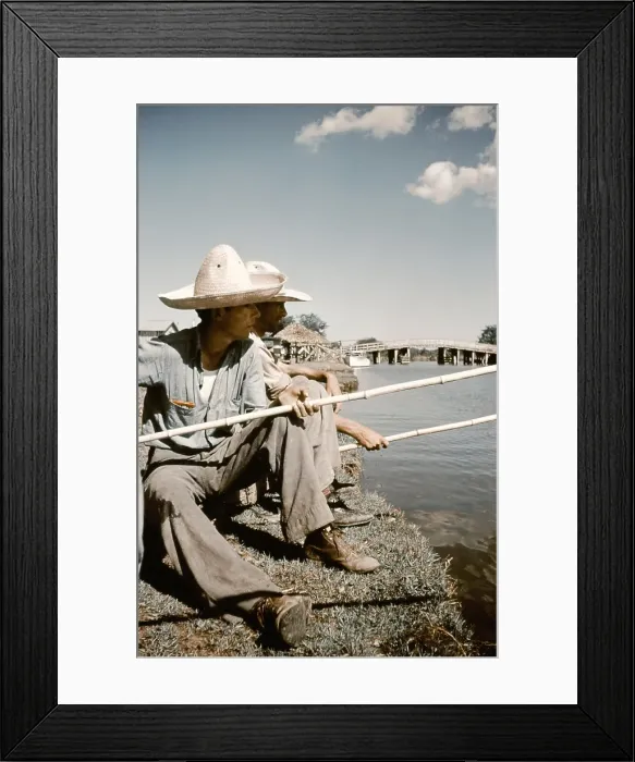 Framed Print : Life On The Bayou Framed Print : Life On The Bayou