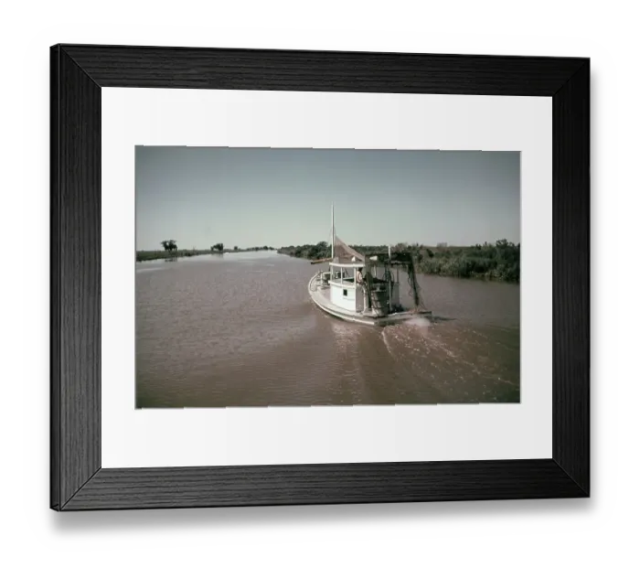 Framed Print : Life On The Bayou Framed Print : Life On The Bayou