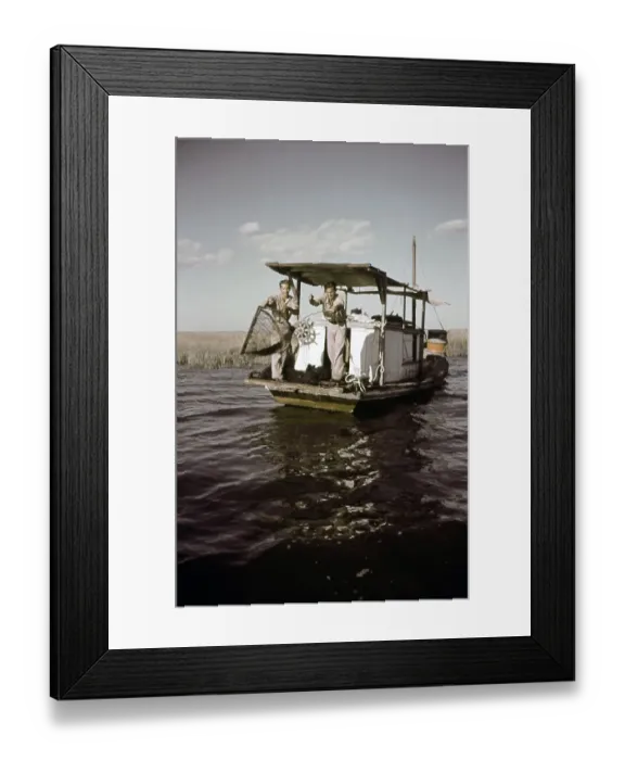 Framed Print : Life On The Bayou Framed Print : Life On The Bayou
