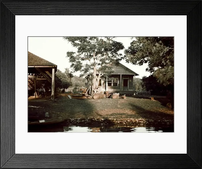 Framed Print : Life On The Bayou Framed Print : Life On The Bayou