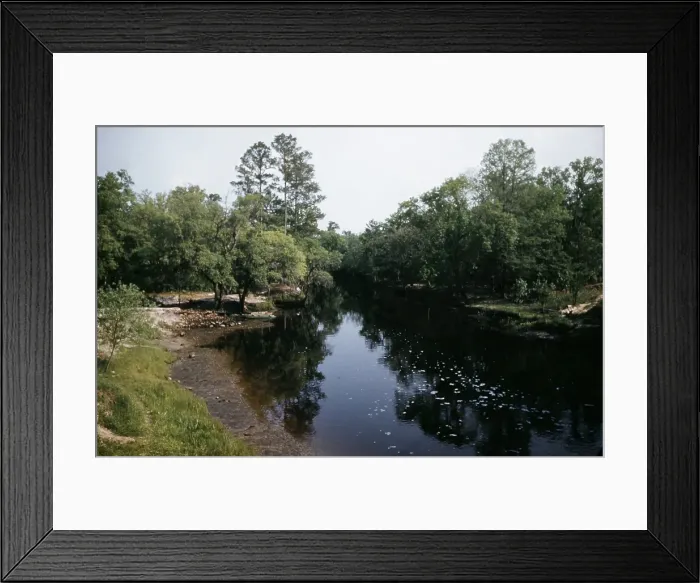 Framed Print : Life On The Bayou Framed Print : Life On The Bayou