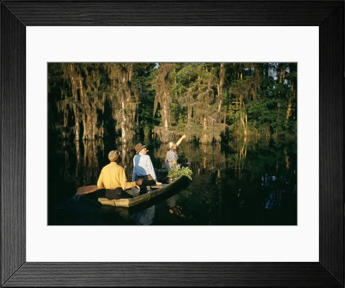 Framed Print : Life On The Bayou Framed Print : Life On The Bayou