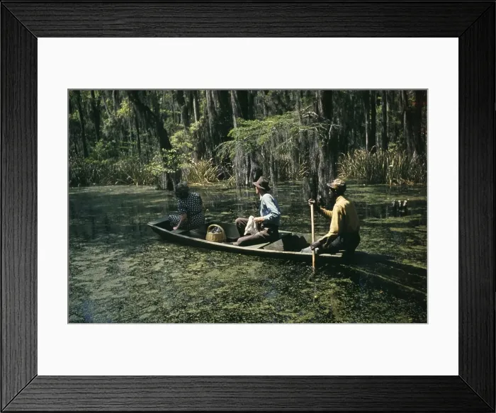 Framed Print : Life On The Bayou Framed Print : Life On The Bayou