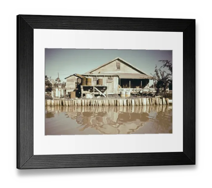 Framed Print : Life On The Bayou Framed Print : Life On The Bayou