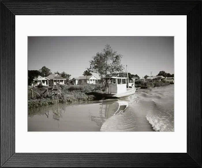 Framed Print : Life On The Bayou Framed Print : Life On The Bayou