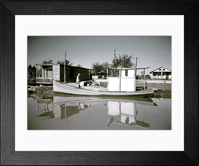 Framed Print : Life On The Bayou Framed Print : Life On The Bayou