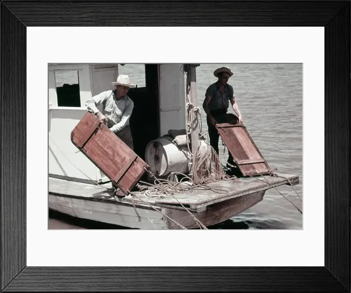 Framed Print : Life On The Bayou Framed Print : Life On The Bayou