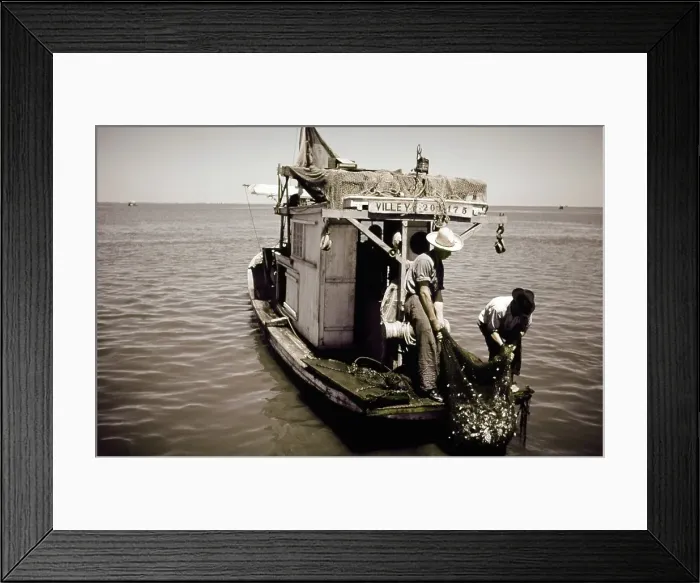 Framed Print : Life On The Bayou Framed Print : Life On The Bayou