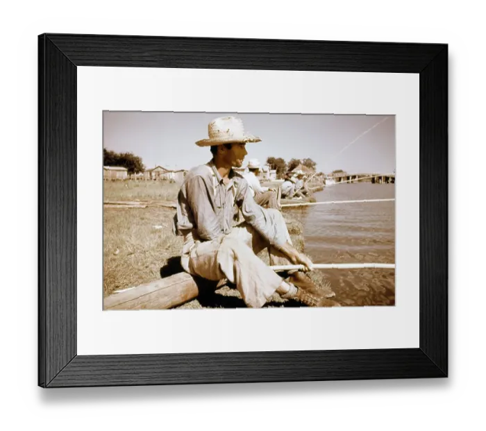 Framed Print : Life On The Bayou