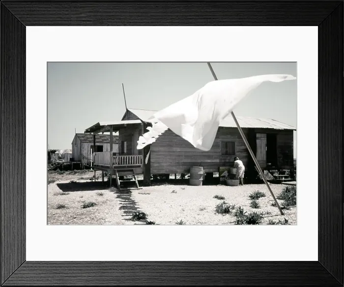 Framed Print : Life On The Bayou Framed Print : Life On The Bayou