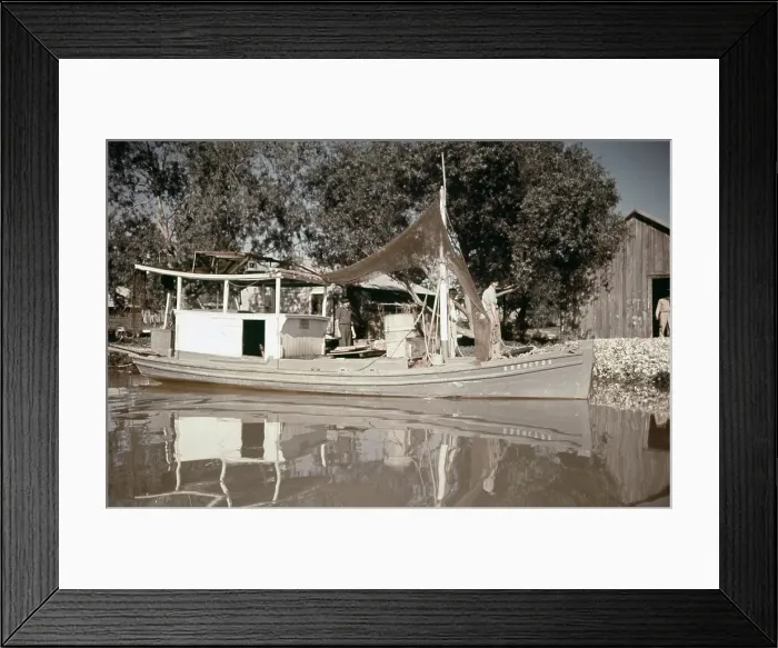 Framed Print : Life On The Bayou Framed Print : Life On The Bayou