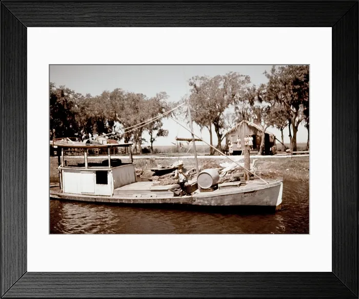 Framed Print : Life On The Bayou Framed Print : Life On The Bayou