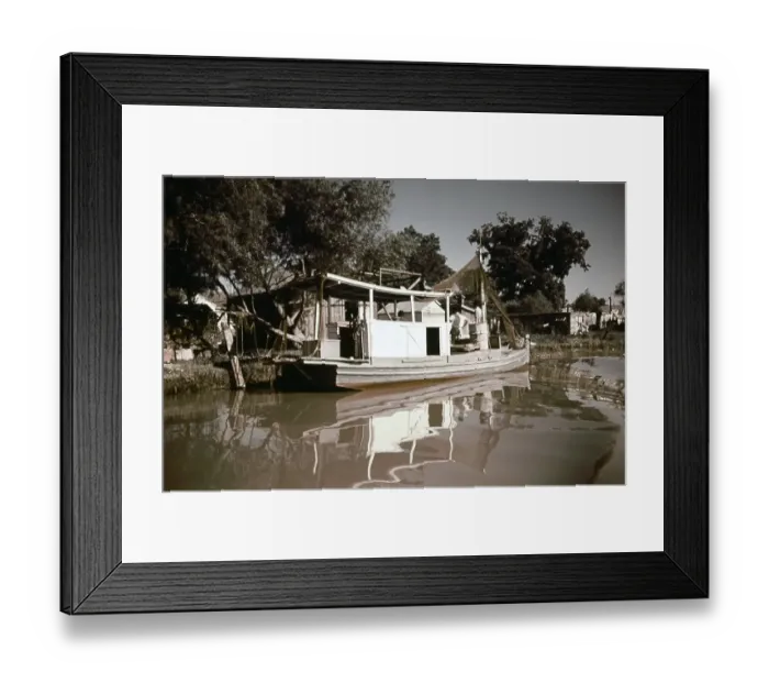 Framed Print : Life On The Bayou Framed Print : Life On The Bayou