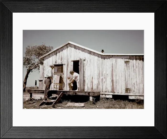 Framed Print : Life On The Bayou Framed Print : Life On The Bayou